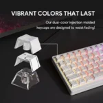 Black Contour Keycaps – 100 Keys | OEM Profile • PBT - Image 5