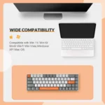 Ziyoulang T8 RGB 65% mechanical keyboard Red hot-swap switches Full RGB | Honey Bee - Image 7